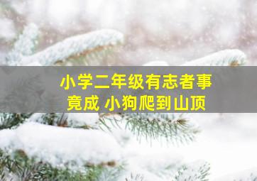 小学二年级有志者事竟成 小狗爬到山顶